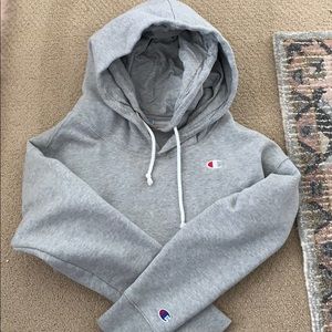 Champion Double Hoodie Sweatshirt